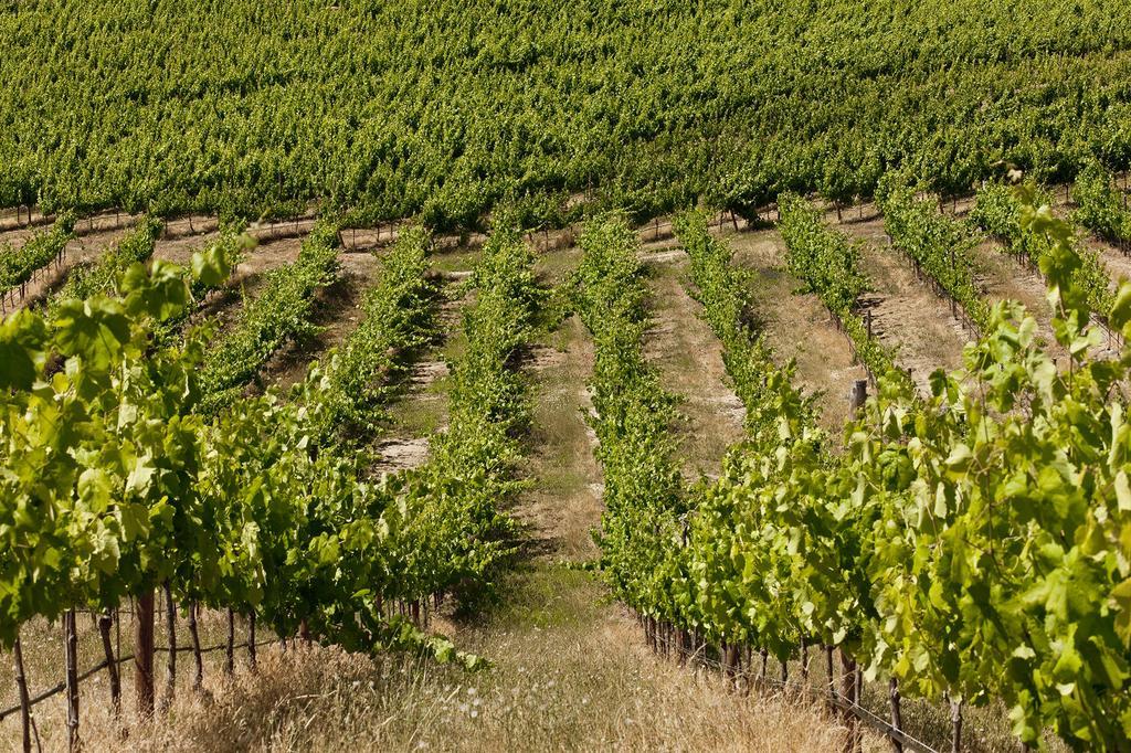 Herdade Do Gamito Крату Экстерьер фото